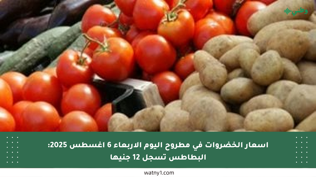 أسعار الخضروات في مطروح اليوم الأربعاء 6 أغسطس 2025: البطاطس تسجل 12 جنيها